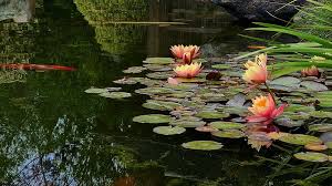 Serene spa treatment room